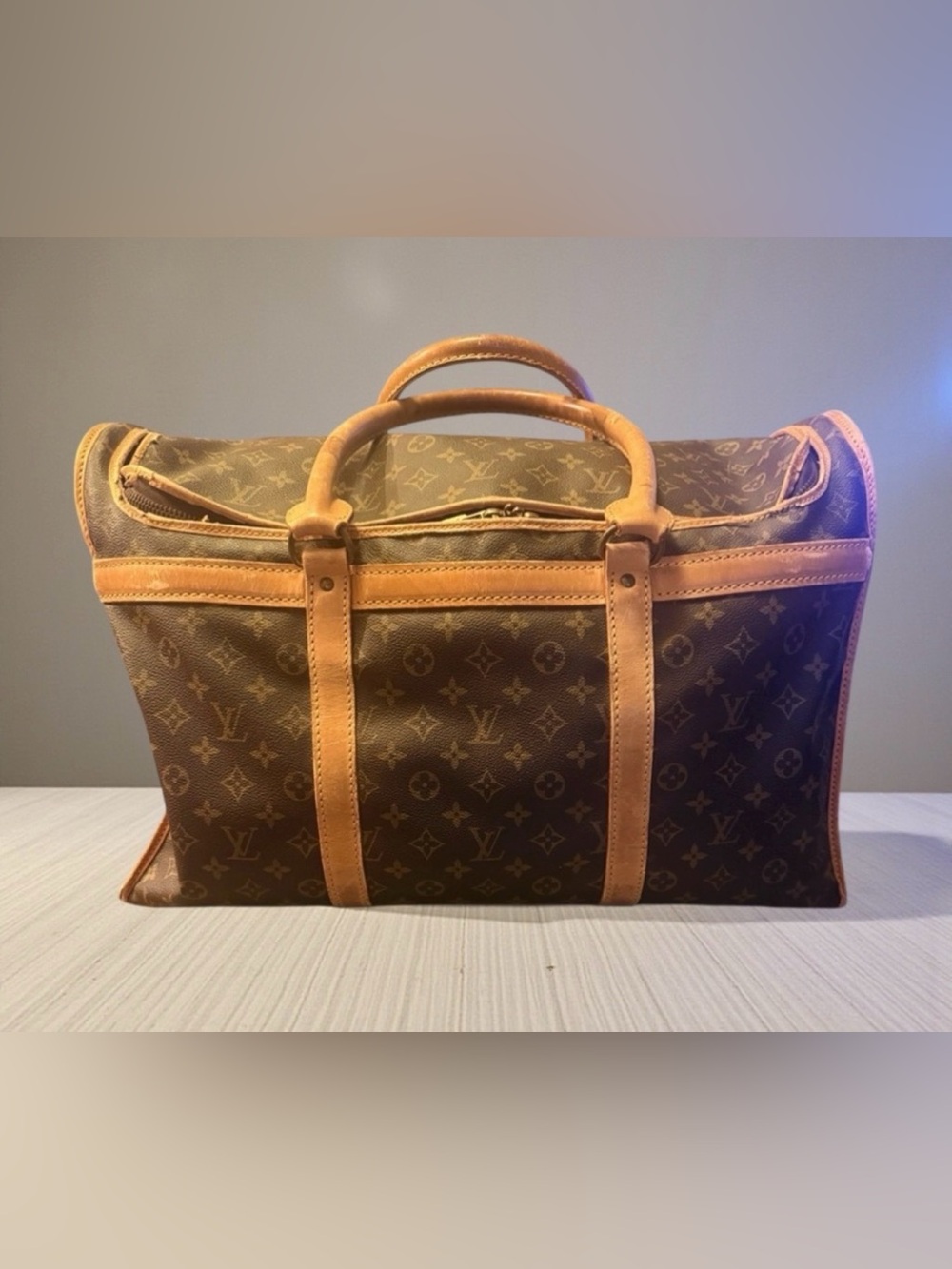 Louis Vuitton Sac Chaussures (shoes bag)